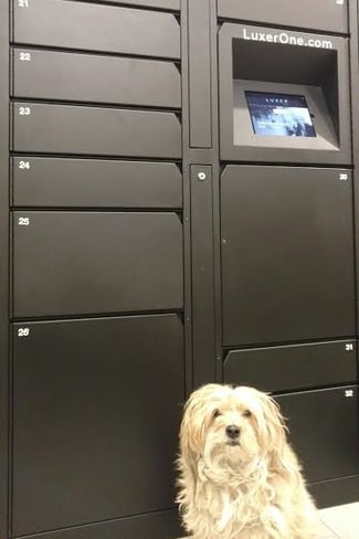 dog-lockers.jpg